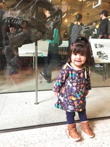 Dicas de passeio em Nova York com crianças - Museu de História Natural