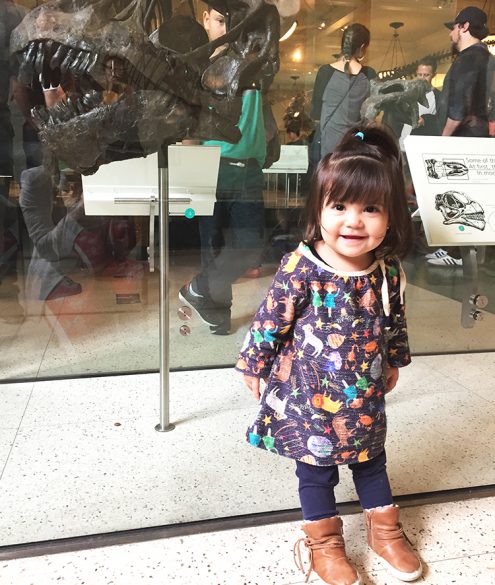 Dicas de passeio em Nova York com crianças - Museu de História Natural