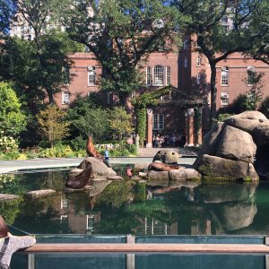 Dicas de passeis em NY com crianças - Central Park Zoo