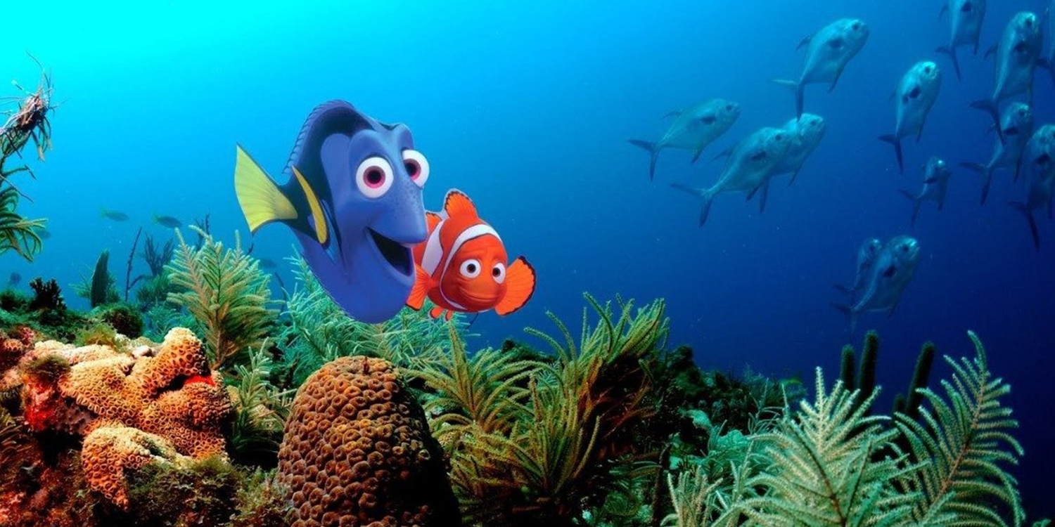Procurando Nemo Nesta emocionante aventura, dois peixinhos, Marlin e Dory, procuram o filho desaparecido de Marlin, Nemo, por todo o mundo submarino. 