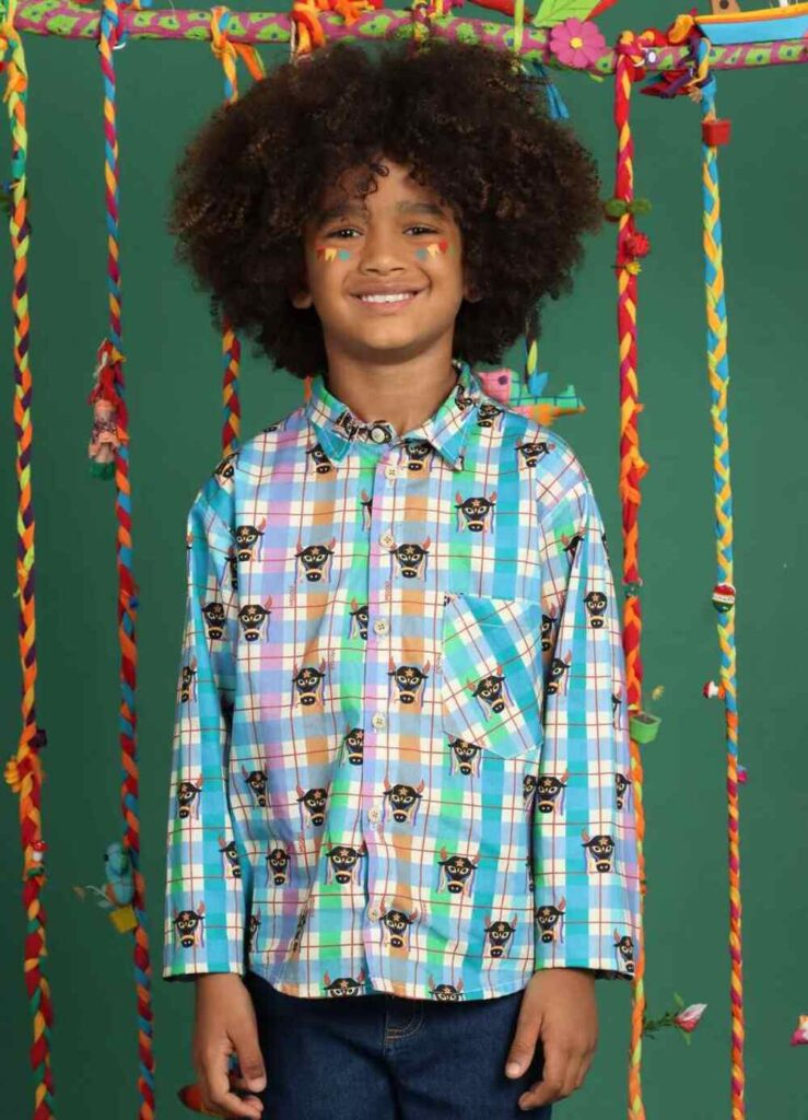 Camisa infantil xadrez com estampa de boi e visual inspirado em roupas típicas de festa junina.